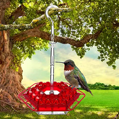 Mary's Sweety Hummingbird Feeder, Bird Feeder with Perch and Builtin