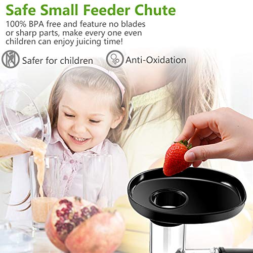 2 Masticating+Extractor+Portable+Function+Vegetable