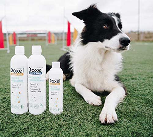 Doxel 4all Original-250ml | Olie voor honden | Natuurlijk supplement | Versterkt immuunsysteem | Gewrichten | Glanzend… - Afbeelding 4