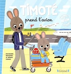 Timoté prend l'avion
