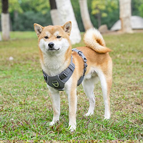 Harness for Medium Large Dog No-Pull: No Escape Adjustable