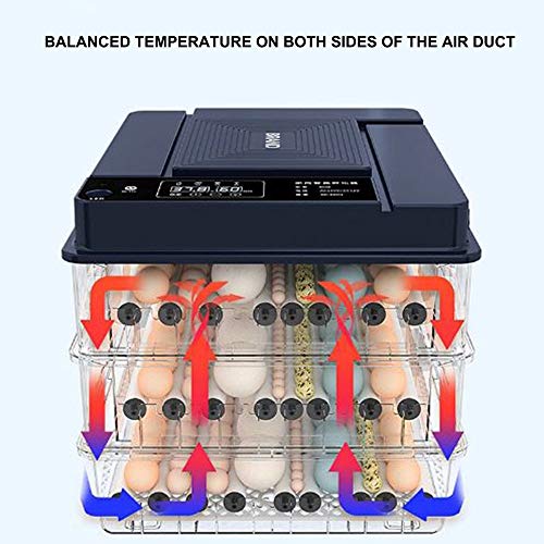 JHKGY Züchter Digitaler Inkubatoren,Geflügel Brutmaschine,Mit Temperaturregelung,Eier Inkubator,Mit Vollautomatischer… – Bild 4