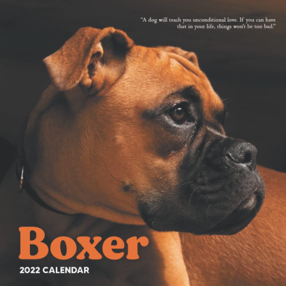 Boxer Calendar 2022: 12 Month Mini Calendar From Jan 2022 To Dec 2022 With Gorgeous Animal Photos: Publishing, Alida: 9798476103332: Amazon.com: Books