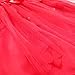 FEESHOW Baby Girls' Christmas Petals Dress with Headband Outfit Set