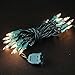 Novelty Lights 5 Feet 20 Bulbs Vintage Short Mini Light String, Clear Bulbs on Green Wire, 4-Inch Spacing Fairy Lights, Connectable End-to-End, UL Listed for Indoor/Outdoor