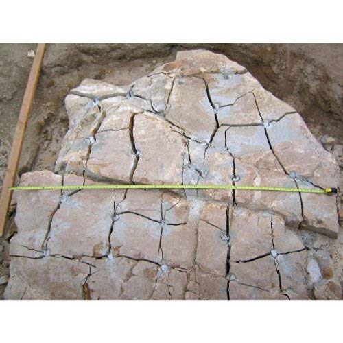 Dexpan Expansive Demolition Grout 11 Lb. Bucket for Rock Breaking