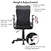 Bonum Home Office Black Mesh Swivel Task Chair