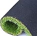 Artificial Turf Lawn Fake Grass Indoor Outdoor Landscape Pet Dog Area (40X80 in)
