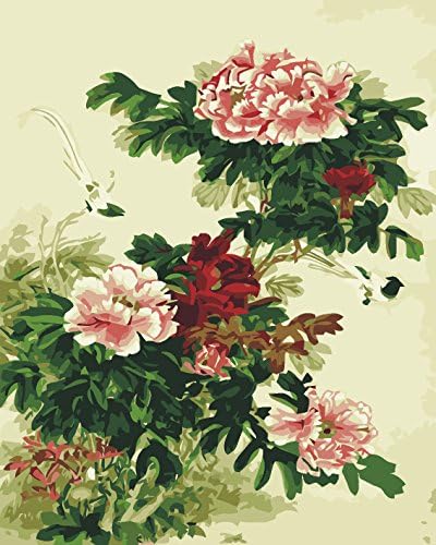 CX-148/Gorgeous Peony Flowers DIY Digital Oil Paintings By Numbers Hand Painted Watercolor Painting Home Decoration Novel Design Artwork (No Frame)