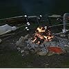 Marshmallow-Roasting-Sticks-kit-Telescoping-Stainless-Steel-Cookware-Set-Forks-for-Smores–Best-Camping-Accessories-for-Kids-over-campfire-Hot-Dog-Fire-Pit-Cooking-BONUS-Bag-10-Bamboo-skewers