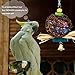Parrot Bird Chewing Toy by PAMAGOO, Natural Rattan Ball Cage Toy Preening Toy for Bird Parrot African Greys Budgie Parakeet Cockatiel Lovebird Cage Toy