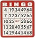 100 BINGO CARDS by Huntar Co.