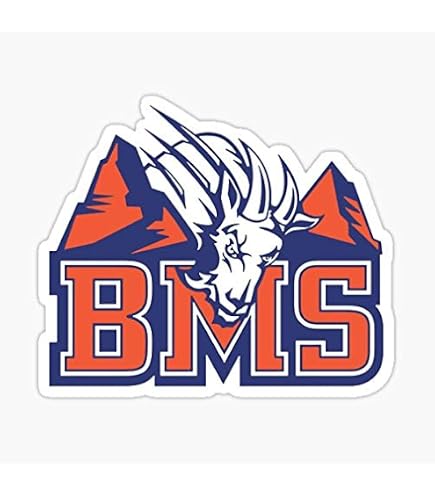 blue mountain state football helmet for sale BMS - Sticker - Sticker Graphic Überklebsticker this collectible Speed Mini 20 inch Bicystar FBS008 Size:XL (big shell)