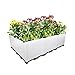 Hershii Garden Raised Bed Kits Rectangular Plastic Deepened Plant Containers Indoor Outdoor Vegetables Herbs Flowers Growing Planter Box – White – 46.06 X 15.35 X 14.96 Inchesthumb 3