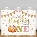 MEHOFOTO Little Pumpkin One Birthday Party Photo Background Banner Fall Autumn Our Little Pumpkin Girl Happy 1st Birthday Pink Gold Dots Backdrops Props for Cake Table Supplies 7x5ft