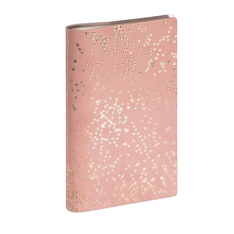 Exacompta Semainier De Poche Sad 16 Méline 166271e Agenda Avec Spirales Intérieures Ivoires Septembre 2019 à Décembre 2020 Semaine Sur 2 Pages Avec - 