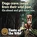Taste of the Wild Ancient Wetlands Canine Recipe with Roasted Fowl and Ancient Grains 28lb