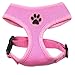 BINGPET Small Dog Harness - Breathable Mesh Puppy Cat Harnesses - No Pull Adjustable Dog Vest Harness for Small and Medium Dogs