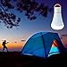 Yaping Outdoor and Indoor Portable LED Tent Light Lamp Lantern for Hiking,Camping,Emergencies,Home (White Pack of 2)