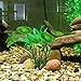 Banada Aquarium Simulated Water Grass Ornament Fish Tank Landscaping Plant Aquarium Decorthumb 3