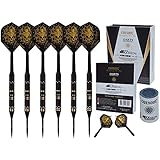 CUESOUL Jazz - Metal Professional Steel Tip Darts Set 21 Grams with 6pcs AK5 Plastic Integrated Flights