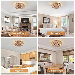 TSMKLEDAN 20" Woven Caged Ceiling Fans with Lights