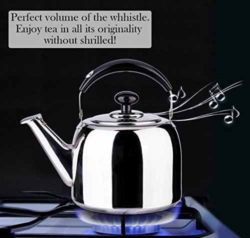 Tea Kettle Whistle for Stovetop 18/10 Stainless Steel Mirror Finish Surface, Bakelite Handle Fast Boiling GSH 3 Quart