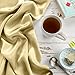 Spasilk 100% Pure Hair and Skin Silk Pillowcase, Queen 20