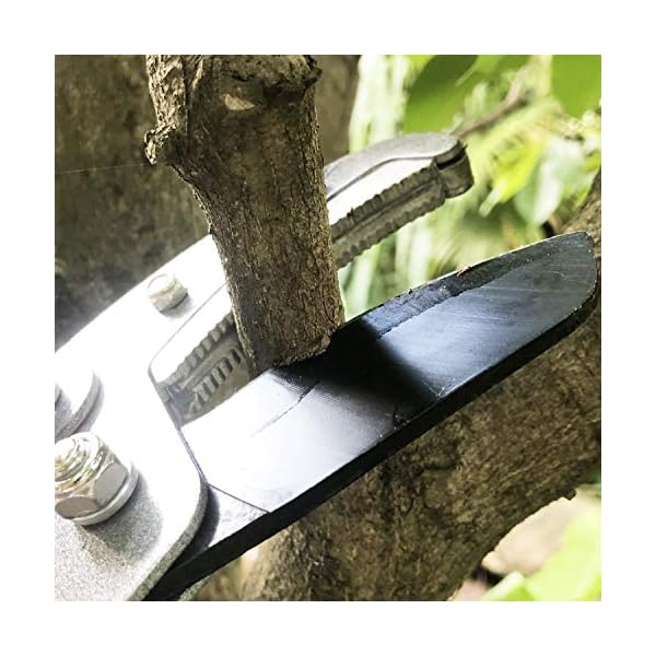 Paick Garten Teleskop-Astschere 690mm - 1024mm einstellbar Teleskopierbare Bypass-Baumschere, Getriebeastschere für… – Bild 8