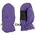 Toddler Fleece Insulated Mittens Boys Girls Clips Palm Grip Warm Winter Snow