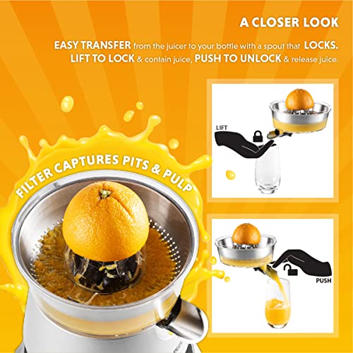 Eurolux Electric orange juicer squeezer | Pro Stainless Steel Citrus Juicer with Soft Grip Handle for Effortless Juicing, Also Fits Lime & Grapefruit Auto Shutoff, Dishwasher-safe Parts, Pulp Control