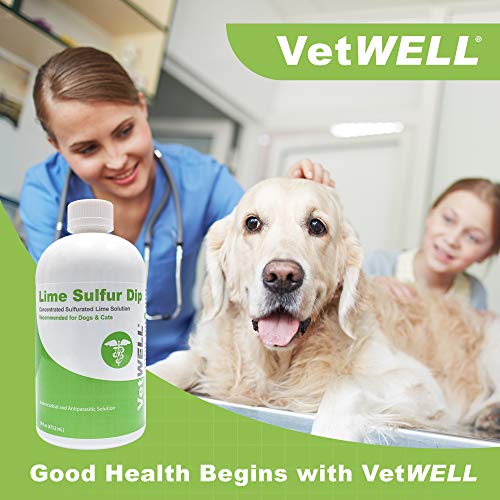 VetWELL Lime Sulfur Dip for Dogs, Cats & Horses - for Mange Treatment, Ringworm Treatment, Skin Mites Treatment for Dogs to Help Relieve Itchy Skin - 16 oz