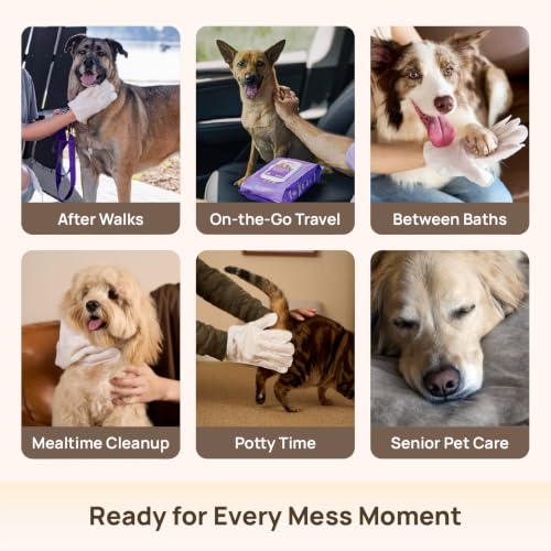 HICC PET Dog Wipes Cleaning Deodorizing Glove Wipes for Dogs, Cats & Horses, Hypoallergenic Hydrating & Nourishing Pet Wipes for Eyes, Ears, Butt & Paws, No-Rinse, 20pcs Coconut Scent