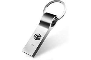 WLOTPO 1TB USB Flash Drive USB Memory Stick Waterproof Jump Drive Pen Drive with Keychain Large Data Storage Compatible for Computer/Laptop Thumb Drive