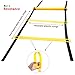 Physport Speed Ladder Soccer Training Agility Ladder with Carry Case Sport Tool (8-Rung)