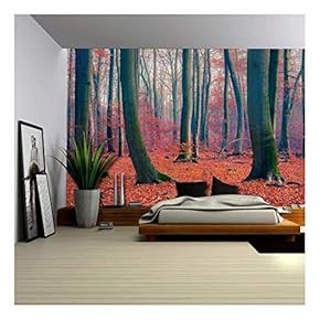 Beautiful Red and Orange Leaf Covered Forest Wall Mural