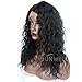 Sunwell Full Lace Human Hair Wigs with Baby Hair Pre Plucked Virgin Brazilian Human Hair Wigs for Black Women Natural Wave (130% Density, 16