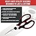 Chef Remi Latest Kitchen Scissors - Multi Purpose Utility Shears for Chicken, Poultry, Fish, Meat, Vegetables, Herbs and BBQ - As Sharp As Any Knife