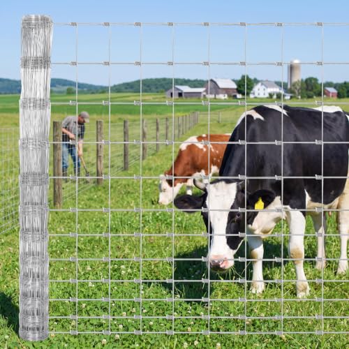 Chic Muse Galvanized Cattle Fencing