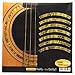 Inlay Sticker Decal Acoustic Guitar Purflinng Sound Hole in Abalone Theme - Rosette Strip/OC