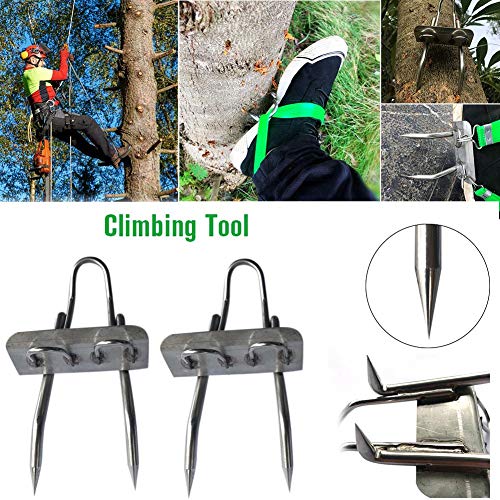 win-full Tree Climbing Gear Tree Climbing-Anti-Skid Tree Climbing Tool, Adujustable Tree Climbing Gear -304 Stainless Steel -Climbing Tree Shoes Simple to Use.