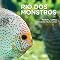 Livro Rios do monstros (BrightBrain Livro 3)