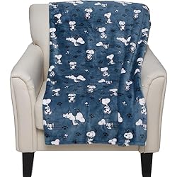 BERKSHIRE Blanket & Home Co Peanuts Throw Blanket