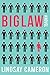 BIGLAW: A Novel