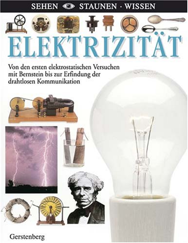 Elektrizität: Von Den Ersten Elektrischen Versuchen Mit Bernstein Bis Zur  Erfindung Der Drahtlosen Kommunikation : Dietzfelbinger, Konrad: Amazon.de:  Bücher