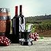 Redevino Wine Aerator Decanter Pourer Set with Glass Stand