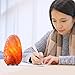 Himalayan Glow 17001B Natural Salt Lamp-Small-2-Pack, Naked Salt Lamp 3-5 lbs Each
