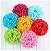 10pcs Red Tissue Hanging Paper Pom-poms, Hmxpls Flower Ball Wedding Party Outdoor Decoration Premium Tissue Paper Pom Pom Flowers Craft Kit