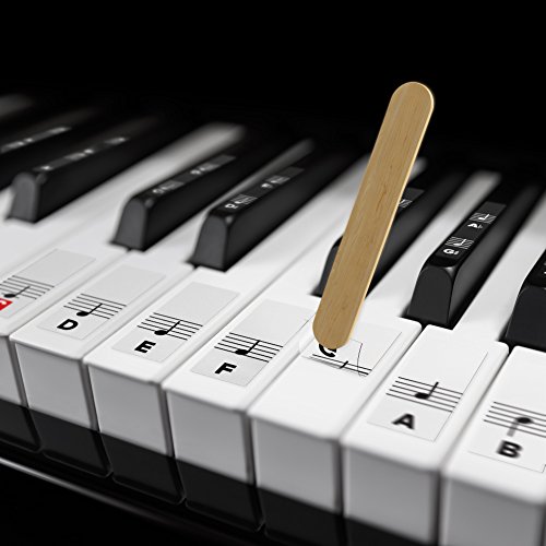 Piano Stickers for White & Black Keys w/Complete Notes on Grand Staff for 49/61 / 76/88 Keyboards