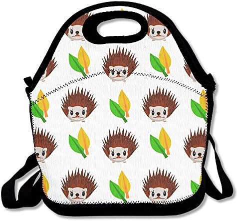 Hedgehog Reusable Insulated Lunch Bag School Picnic Thermal Carrying Gourmet Lunchbox Lunch Tote Container Organizer For Women,Teens,Adults-Lunch Boxes For Outdoors,Work, Office, Schoo